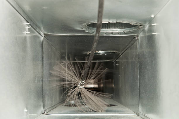 Air Duct Mold Removal in Fulton, MS